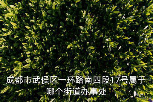 成都市武侯區(qū)一環(huán)路南四段17號(hào)屬于哪個(gè)街道辦事處