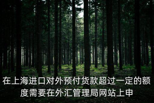 在上海進口對外預付貨款超過一定的額度需要在外匯管理局網站上申