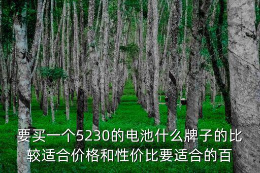 深圳力多威電池，要買(mǎi)一個(gè)5230的電池什么牌子的比較適合價(jià)格和性?xún)r(jià)比要適合的百