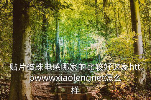 深圳愛瑞興電子有限公司，電子行業(yè)大電流磁珠哪家公司比較好 wwwhongeyxcom 這家怎么