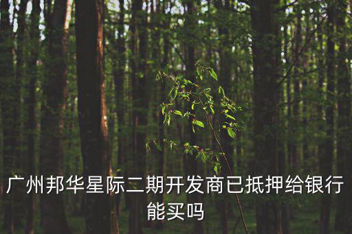 廣州邦華星際二期開發商已抵押給銀行能買嗎