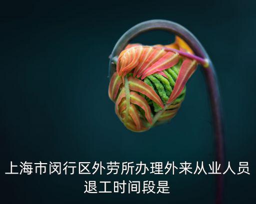 上海市閔行區外勞所辦理外來從業人員退工時間段是