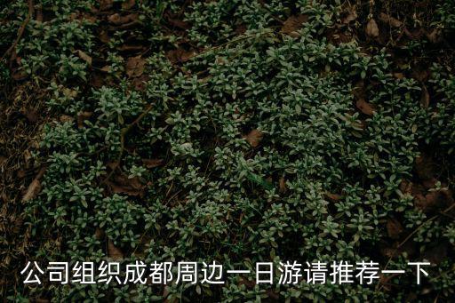 成都市農委 組織架構，四川成都磚混結構支木多少錢一平方