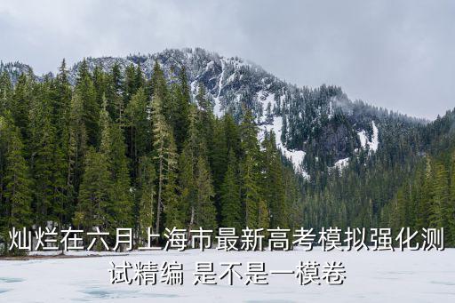 燦爛在六月上海市最新高考模擬強(qiáng)化測試精編 是不是一模卷