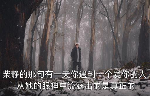 柴靜的那句有一天你遇到一個愛你的人 從她的眼神中流露出的是真正的