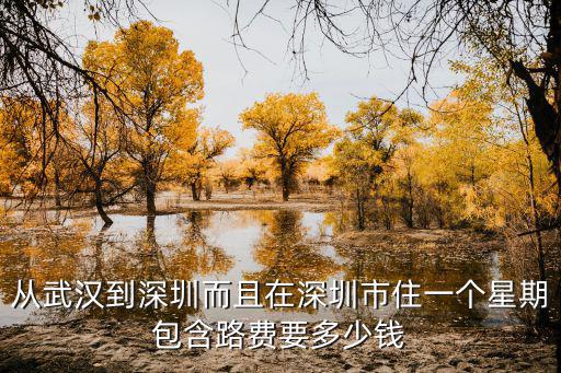 從武漢到深圳而且在深圳市住一個星期包含路費要多少錢