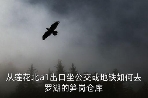 深圳筍崗倉庫去哪能坐上地鐵，從蓮花北a1出口坐公交或地鐵如何去羅湖的筍崗倉庫