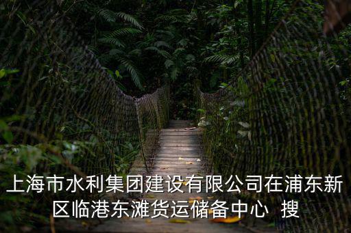 上海市水利集團建設有限公司在浦東新區臨港東灘貨運儲備中心  搜