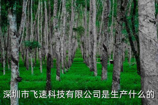 深圳市飛速科技有限公司是生產(chǎn)什么的