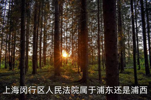 上海市閔行區浦江人民法庭，浦江人民法院在哪里