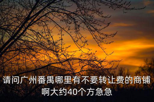 廣州番禺發廊轉讓，番禺市橋邊間電發拉發又便又靚的發廊