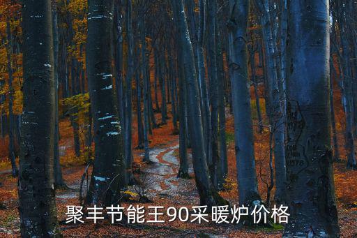 聚豐節能王90采暖爐價格