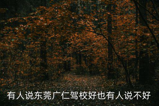 有人說東莞廣仁駕校好也有人說不好