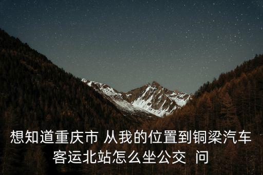 想知道重慶市 從我的位置到銅梁汽車客運北站怎么坐公交  問