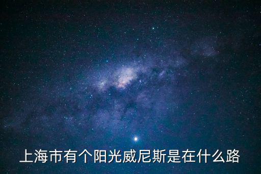 上海市有個陽光威尼斯是在什么路