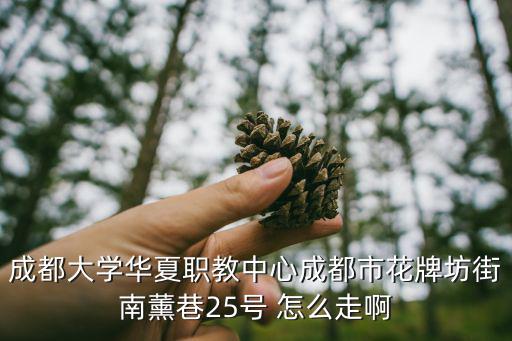 成都大學(xué)華夏職教中心成都市花牌坊街南薰巷25號(hào) 怎么走啊