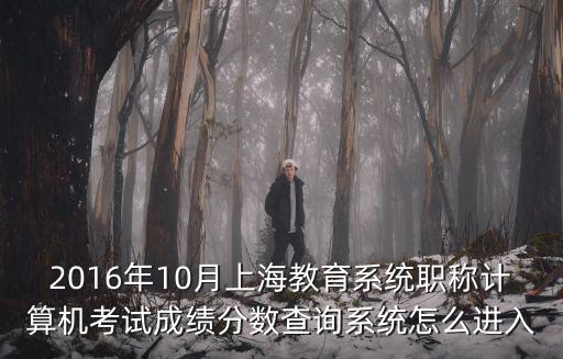 2016年10月上海教育系統職稱計算機考試成績分數查詢系統怎么進入