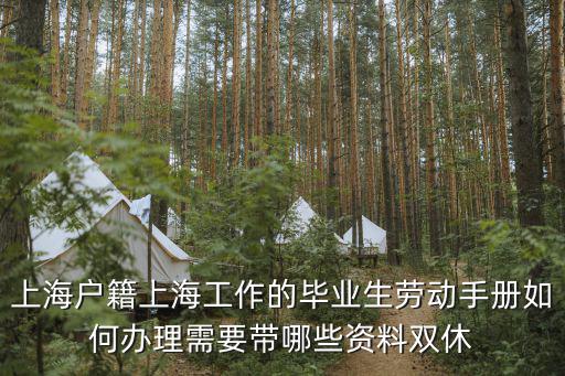 上海戶籍上海工作的畢業生勞動手冊如何辦理需要帶哪些資料雙休
