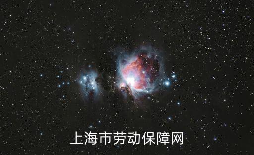上海市勞動(dòng)保障網(wǎng)