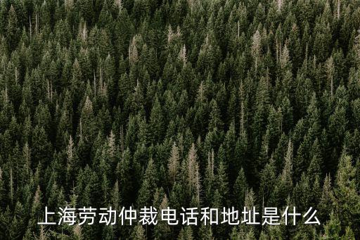 上海勞動仲裁電話和地址是什么