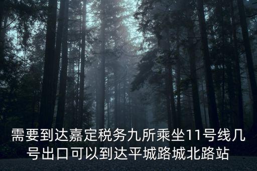 需要到達嘉定稅務九所乘坐11號線幾號出口可以到達平城路城北路站