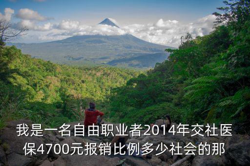 我是一名自由職業(yè)者2014年交社醫(yī)保4700元報銷比例多少社會的那