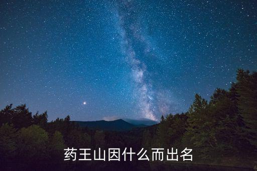 藥王山因什么而出名