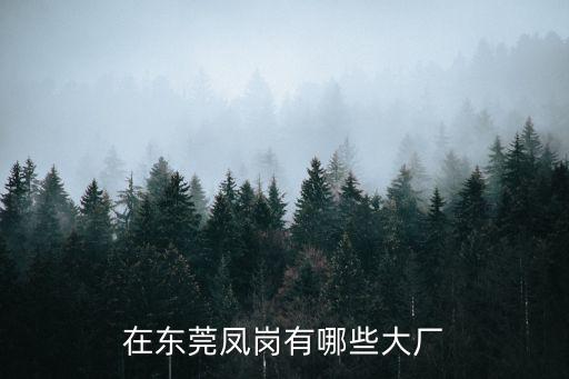 在東莞鳳崗有哪些大廠