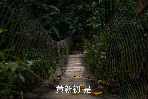 黃新初 是