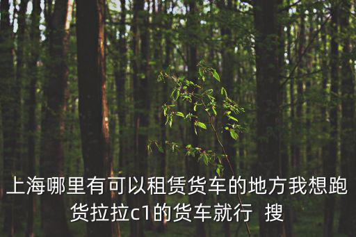 上海哪里有可以租賃貨車的地方我想跑貨拉拉c1的貨車就行  搜