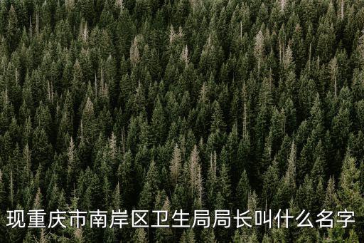 現重慶市南岸區衛生局局長叫什么名字