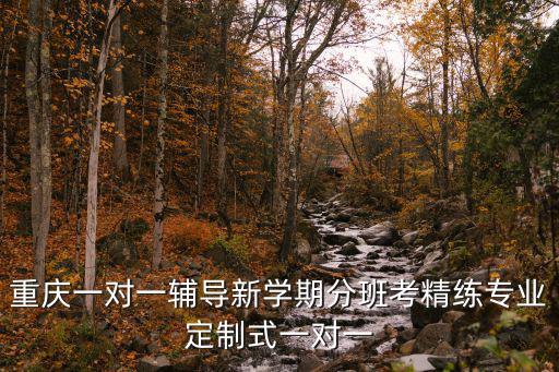 重慶一對一輔導新學期分班考精練專業定制式一對一