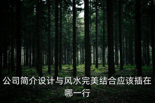 公司簡介設計與風水完美結合應該插在哪一行