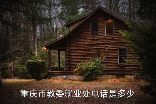 重慶市教委就業處電話是多少