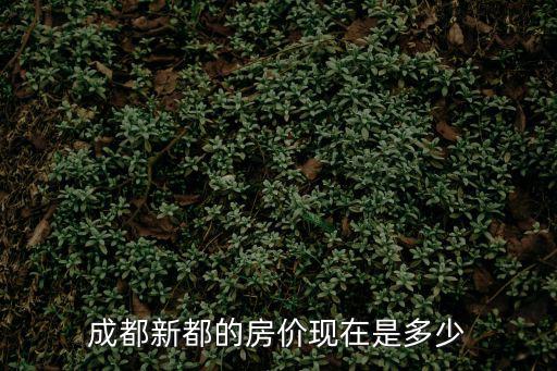 成都市新都區新城房價，成都市新都區現在的平均房價是多少