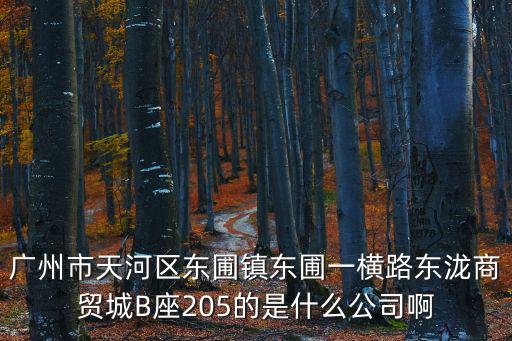 廣州市天河區東圃鎮東圃一橫路東瀧商貿城B座205的是什么公司啊