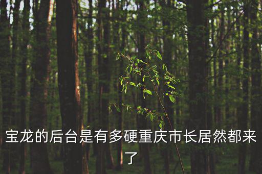 寶龍的后臺是有多硬重慶市長居然都來了