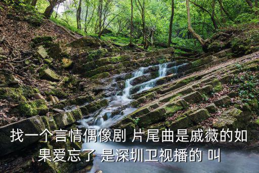 找一個言情偶像劇 片尾曲是戚薇的如果愛忘了 是深圳衛(wèi)視播的 叫