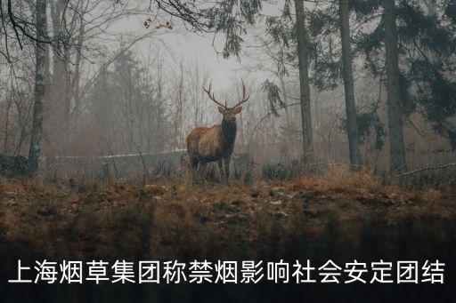 上海煙草集團稱禁煙影響社會安定團結