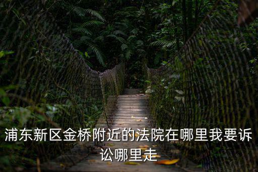 浦東新區金橋附近的法院在哪里我要訴訟哪里走