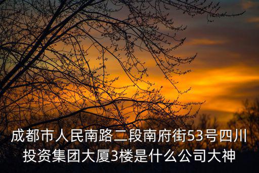 成都市楊洪舉，成都市人民南路二段南府街53號四川投資集團大廈3樓是什么公司大神