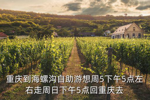 重慶市五年輪審計劃，重慶到海螺溝自助游想周5下午5點左右走周日下午5點回重慶去
