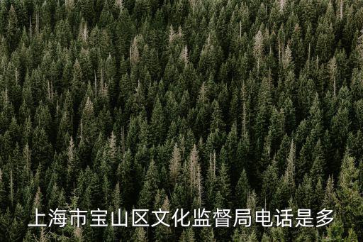 上海市寶山區文化監督局電話是多