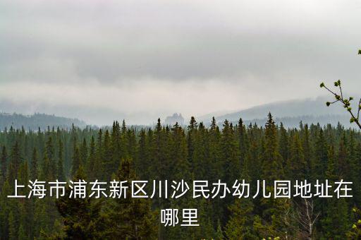 上海市浦東新區川沙幼兒園，上海市浦東新區川沙民辦幼兒園地址在哪里
