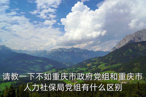 請教一下不如重慶市政府黨組和重慶市人力社保局黨組有什么區(qū)別