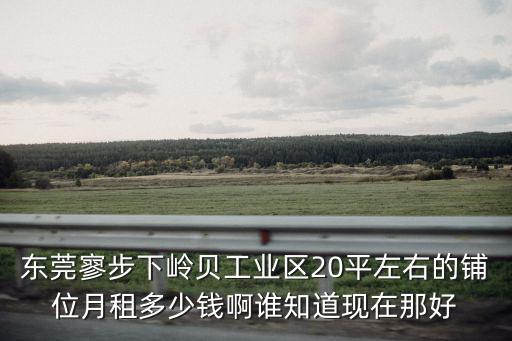 東莞工業區便利店招租，東莞最近有哪些新商場在招商