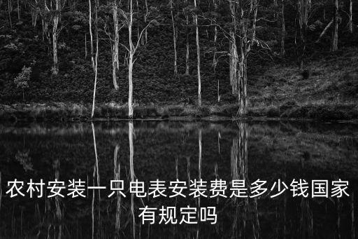 農村安裝一只電表安裝費是多少錢國家有規定嗎