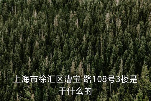 上海市污染土壤處置中心，上海市徐匯區漕寶 路108號3樓是干什么的