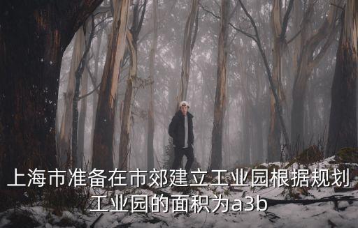 上海市準備在市郊建立工業(yè)園根據(jù)規(guī)劃工業(yè)園的面積為a3b