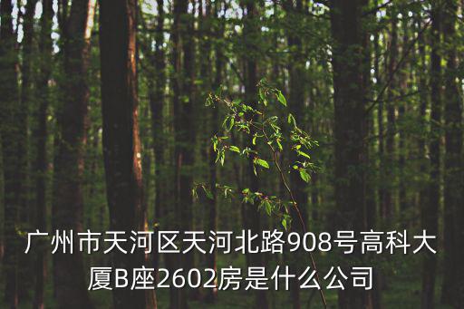 廣州市天河區(qū)天河北路908號(hào)高科大廈B座2602房是什么公司